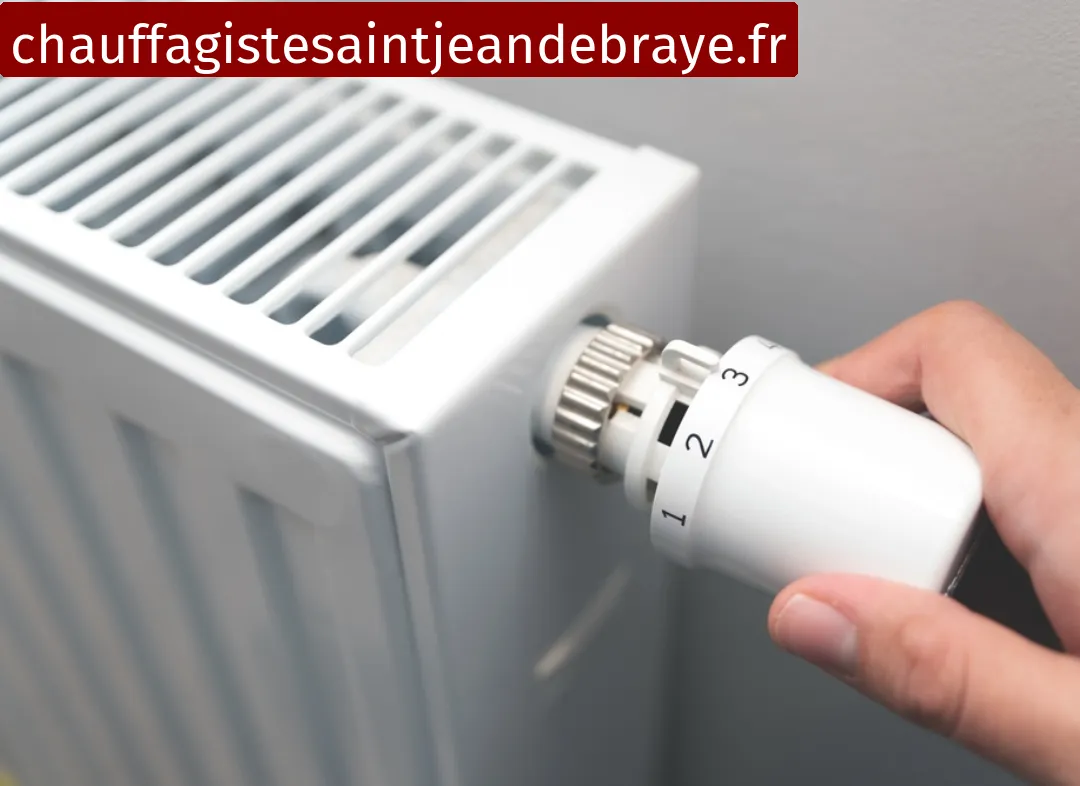 Remplacement de Thermostat Saint-Jean-de-Braye